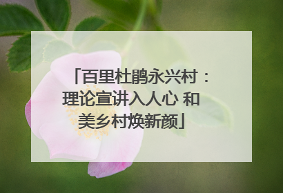 百里杜鹃永兴村：理论宣讲入人心 和美乡村焕新颜